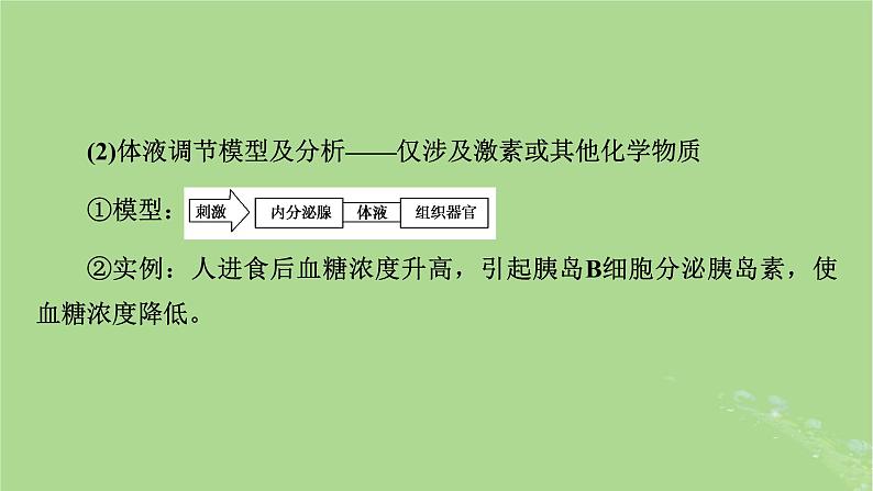 2025版高考生物一轮总复习选择性必修1微专题10生命活动调节方式的判断与分析课件第5页