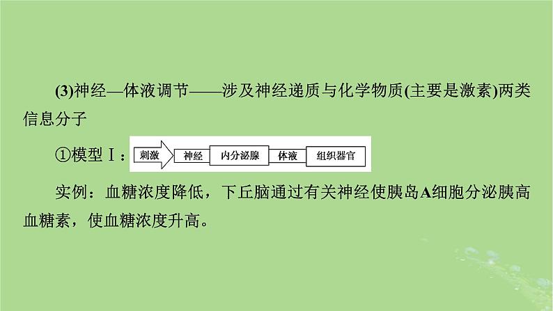 2025版高考生物一轮总复习选择性必修1微专题10生命活动调节方式的判断与分析课件第6页