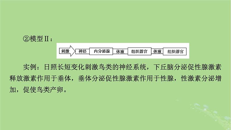 2025版高考生物一轮总复习选择性必修1微专题10生命活动调节方式的判断与分析课件第7页