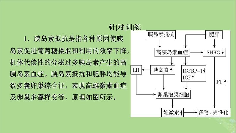 2025版高考生物一轮总复习选择性必修1情境拓展6胰岛素抵抗疫苗与癌症的免疫疗法课件第6页