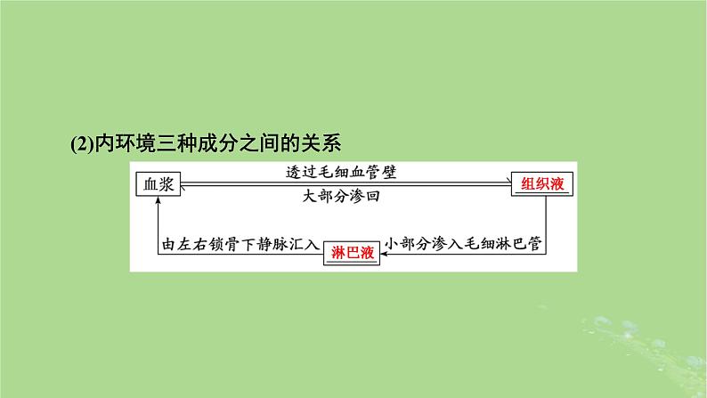 2025版高考生物一轮总复习选择性必修1第8单元稳态与调节第1讲人体的内环境与稳态课件第6页