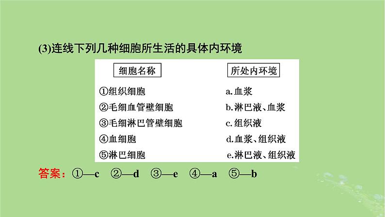 2025版高考生物一轮总复习选择性必修1第8单元稳态与调节第1讲人体的内环境与稳态课件第7页