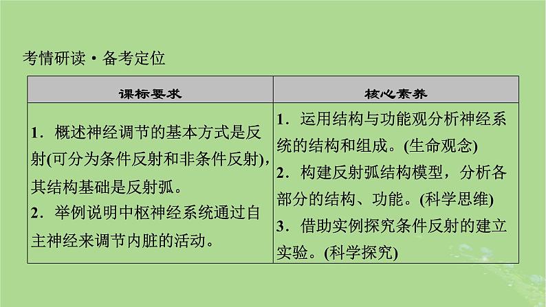 2025版高考生物一轮总复习选择性必修1第8单元稳态与调节第2讲神经调节的结构基础和基本方式课件第2页