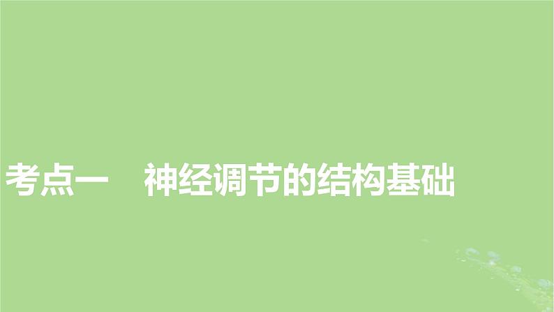 2025版高考生物一轮总复习选择性必修1第8单元稳态与调节第2讲神经调节的结构基础和基本方式课件第3页