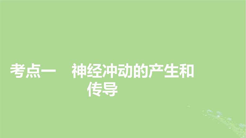 2025版高考生物一轮总复习选择性必修1第8单元稳态与调节第3讲神经冲动的产生和传导神经系统的分级调节及人脑的高级功能课件第4页