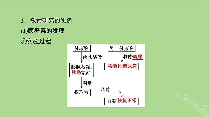 2025版高考生物一轮总复习选择性必修1第8单元稳态与调节第4讲激素与内分泌系统激素调节的过程课件第7页