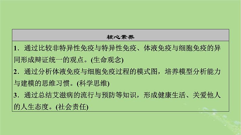 2025版高考生物一轮总复习选择性必修1第8单元稳态与调节第6讲免疫调节课件03