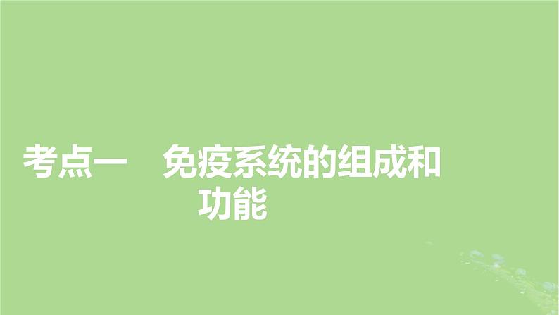 2025版高考生物一轮总复习选择性必修1第8单元稳态与调节第6讲免疫调节课件04