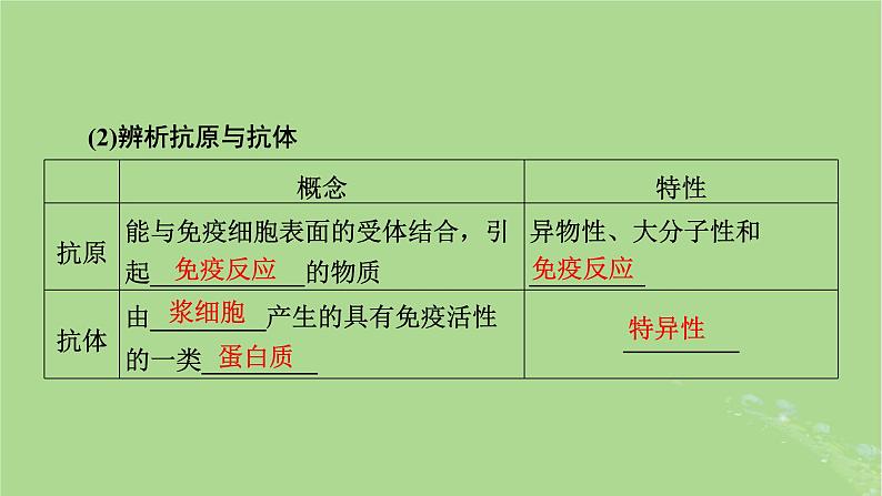 2025版高考生物一轮总复习选择性必修1第8单元稳态与调节第6讲免疫调节课件06