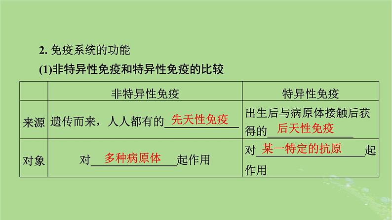 2025版高考生物一轮总复习选择性必修1第8单元稳态与调节第6讲免疫调节课件07