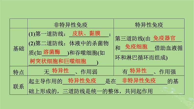 2025版高考生物一轮总复习选择性必修1第8单元稳态与调节第6讲免疫调节课件08