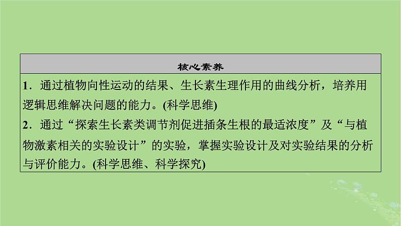 2025版高考生物一轮总复习选择性必修1第8单元稳态与调节第7讲植物生命活动的调节课件第3页