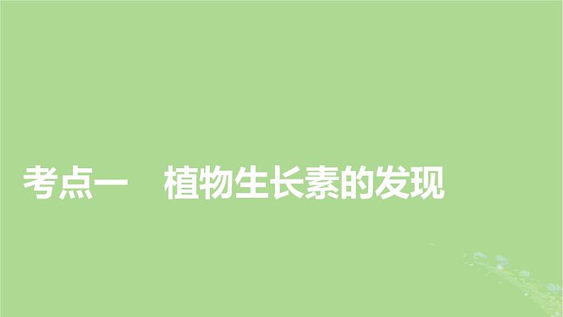 2025版高考生物一轮总复习选择性必修1第8单元稳态与调节第7讲植物生命活动的调节课件第4页