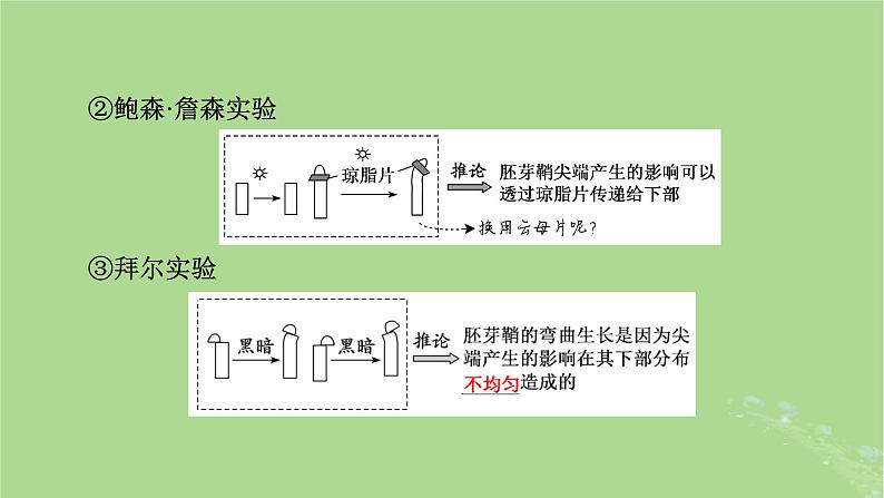 2025版高考生物一轮总复习选择性必修1第8单元稳态与调节第7讲植物生命活动的调节课件第6页