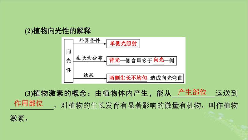 2025版高考生物一轮总复习选择性必修1第8单元稳态与调节第7讲植物生命活动的调节课件第8页