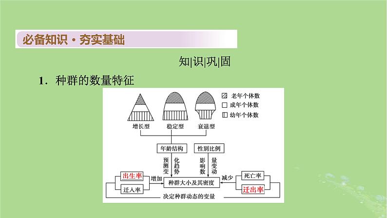 2025版高考生物一轮总复习选择性必修2第9单元生物与环境第1讲种群及其动态课件第5页