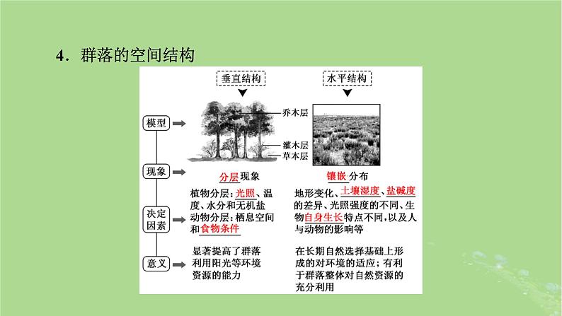 2025版高考生物一轮总复习选择性必修2第9单元生物与环境第2讲群落及其演替课件第8页