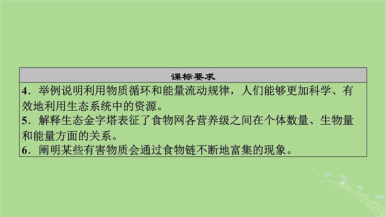 2025版高考生物一轮总复习选择性必修2第9单元生物与环境第3讲生态系统的结构与能量流动课件第3页