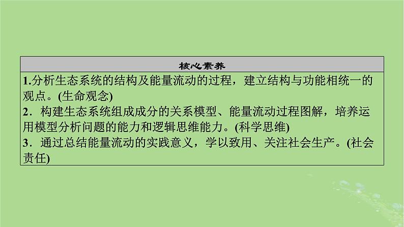 2025版高考生物一轮总复习选择性必修2第9单元生物与环境第3讲生态系统的结构与能量流动课件第4页