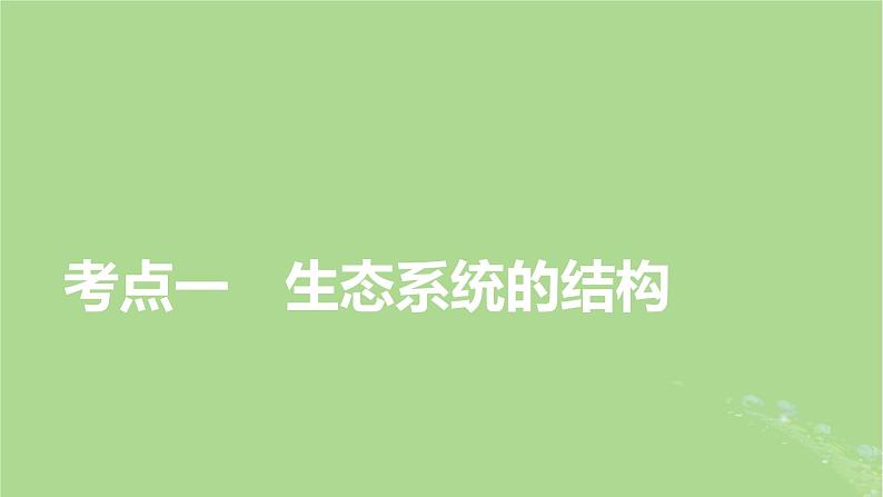 2025版高考生物一轮总复习选择性必修2第9单元生物与环境第3讲生态系统的结构与能量流动课件第5页