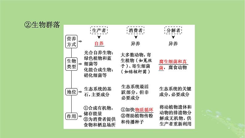 2025版高考生物一轮总复习选择性必修2第9单元生物与环境第3讲生态系统的结构与能量流动课件第8页