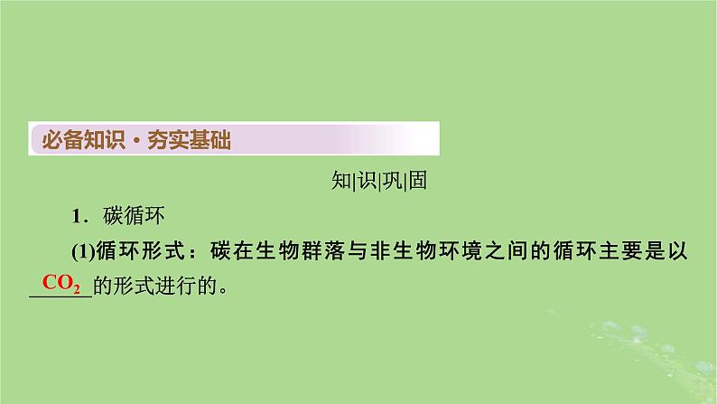 2025版高考生物一轮总复习选择性必修2第9单元生物与环境第4讲生态系统的物质循环信息传递及其稳定性课件第5页