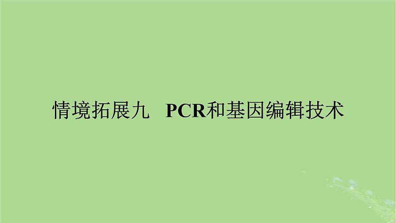 2025版高考生物一轮总复习选择性必修3情境拓展9PCR和基因编辑技术课件第1页