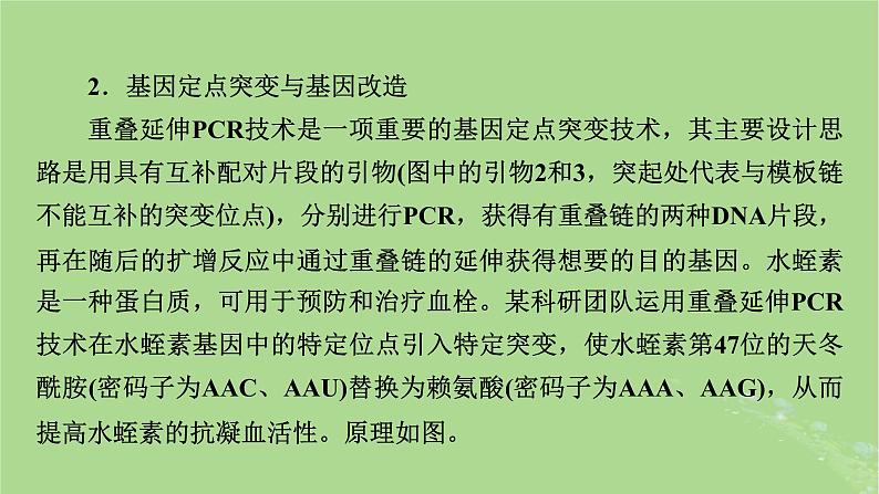 2025版高考生物一轮总复习选择性必修3情境拓展9PCR和基因编辑技术课件第4页