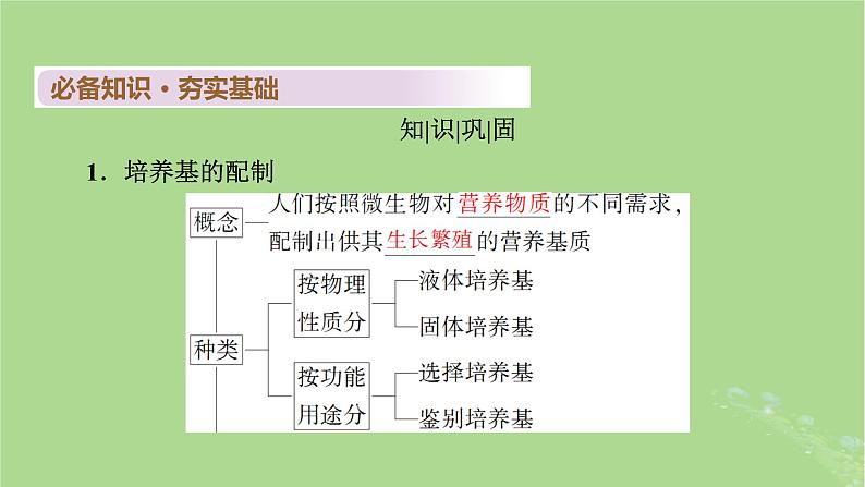 2025版高考生物一轮总复习选择性必修3第10单元生物技术与工程第2讲微生物的培养技术及应用课件04