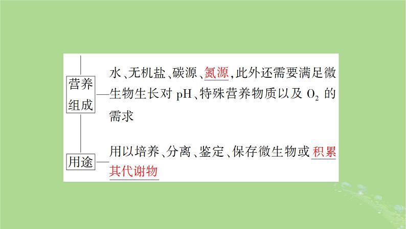 2025版高考生物一轮总复习选择性必修3第10单元生物技术与工程第2讲微生物的培养技术及应用课件05