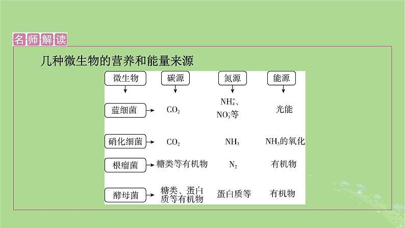 2025版高考生物一轮总复习选择性必修3第10单元生物技术与工程第2讲微生物的培养技术及应用课件06