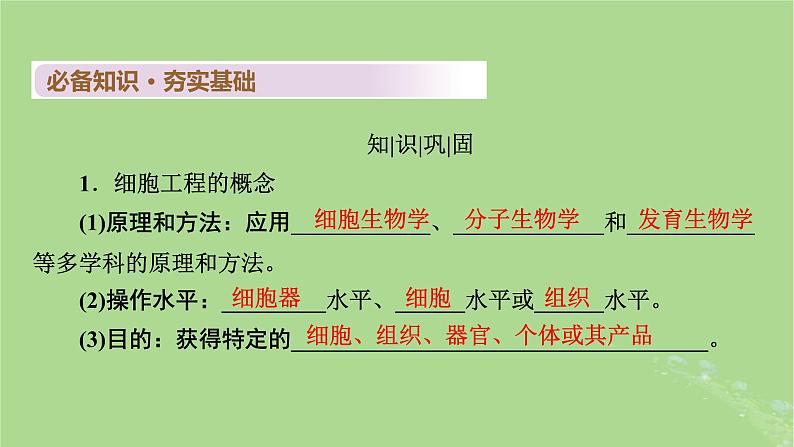 2025版高考生物一轮总复习选择性必修3第10单元生物技术与工程第3讲植物细胞工程课件第4页