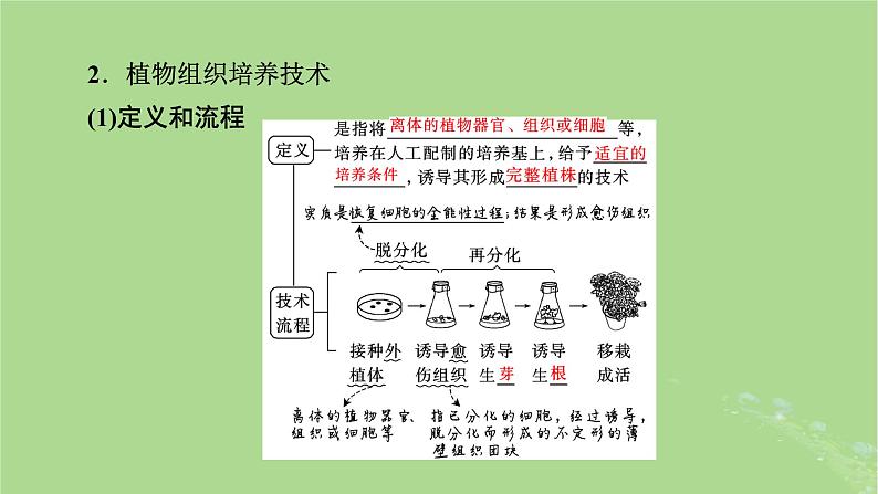 2025版高考生物一轮总复习选择性必修3第10单元生物技术与工程第3讲植物细胞工程课件第5页