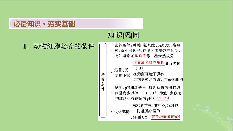 2025版高考生物一轮总复习选择性必修3第10单元生物技术与工程第4讲动物细胞工程课件第5页