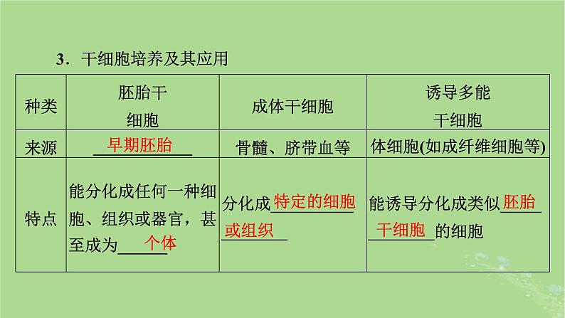 2025版高考生物一轮总复习选择性必修3第10单元生物技术与工程第4讲动物细胞工程课件第7页