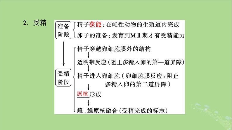 2025版高考生物一轮总复习选择性必修3第10单元生物技术与工程第5讲胚胎工程与生物技术的安全性和伦理问题课件第5页