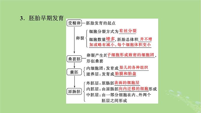 2025版高考生物一轮总复习选择性必修3第10单元生物技术与工程第5讲胚胎工程与生物技术的安全性和伦理问题课件第6页