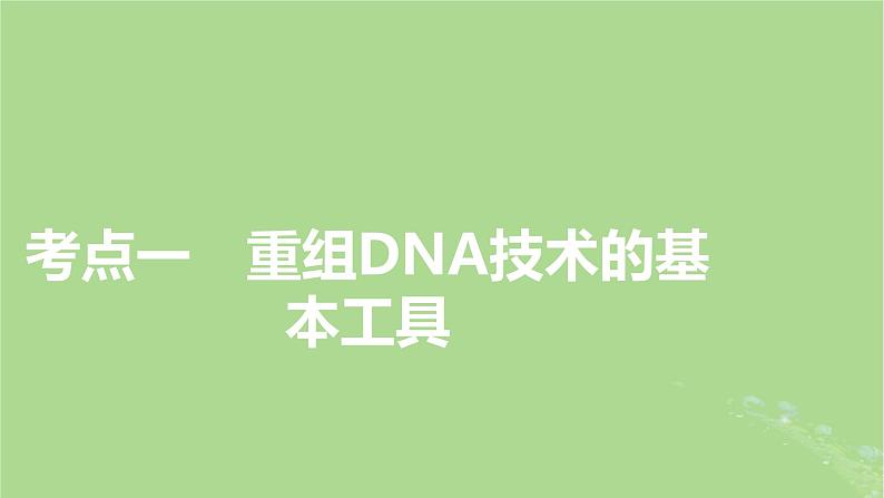 2025版高考生物一轮总复习选择性必修3第10单元生物技术与工程第6讲基因工程的基本工具课件第3页