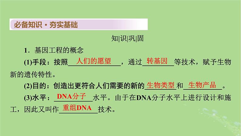 2025版高考生物一轮总复习选择性必修3第10单元生物技术与工程第6讲基因工程的基本工具课件第4页