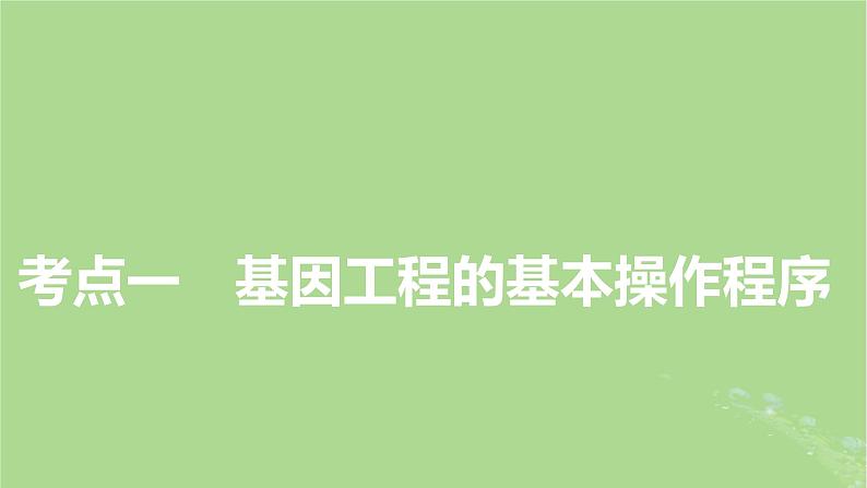 2025版高考生物一轮总复习选择性必修3第10单元生物技术与工程第7讲基因工程的基本操作程序和应用及蛋白质工程课件第3页