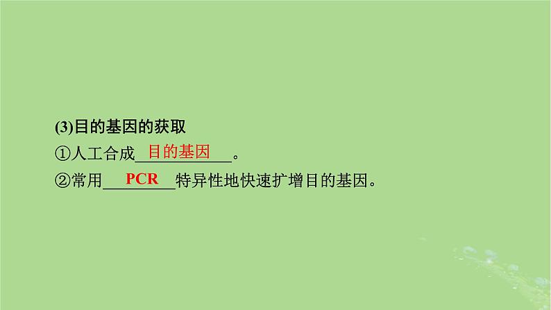 2025版高考生物一轮总复习选择性必修3第10单元生物技术与工程第7讲基因工程的基本操作程序和应用及蛋白质工程课件第5页