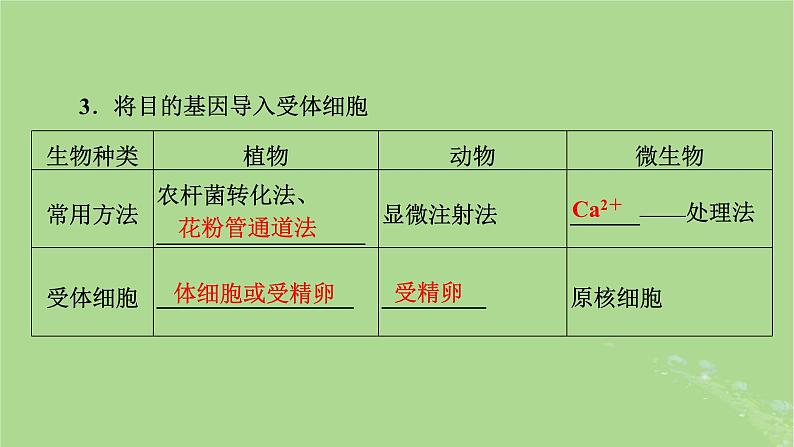 2025版高考生物一轮总复习选择性必修3第10单元生物技术与工程第7讲基因工程的基本操作程序和应用及蛋白质工程课件第8页