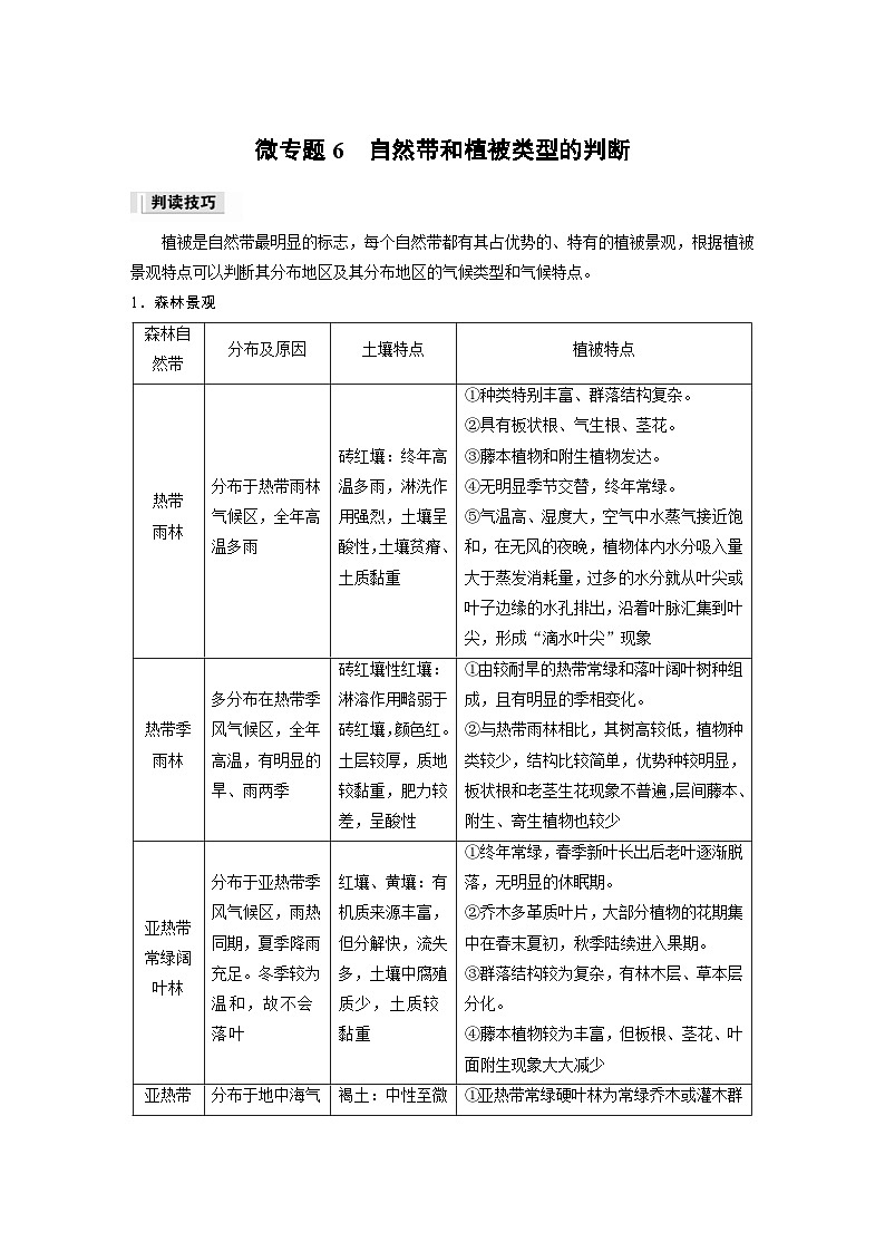 人教版高中地理（选择性必修第一册）同步讲义 第五章 第二节 微专题六　自然带和植被类型的判断（含解析）第1页