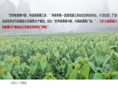 2024年同步备课高中地理3.1农业区位因素及其变化课件新人教版必修第二册