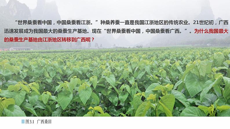 2024年同步备课高中地理3.1农业区位因素及其变化课件新人教版必修第二册第3页