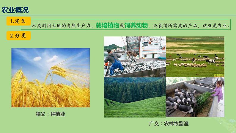 2024年同步备课高中地理3.1农业区位因素及其变化课件新人教版必修第二册第6页