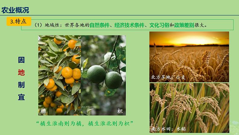 2024年同步备课高中地理3.1农业区位因素及其变化课件新人教版必修第二册第7页
