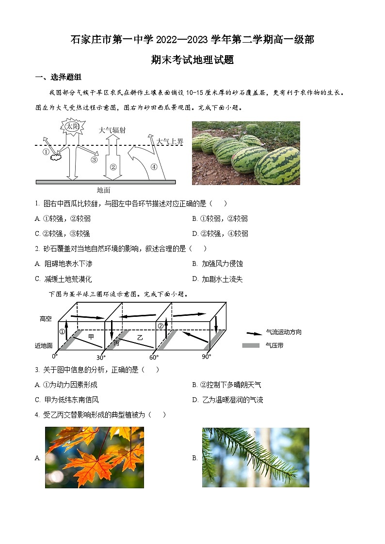 河北省石家庄市第一中学2022-2023学年高一下学期期末地理试题 Word版无答案第1页