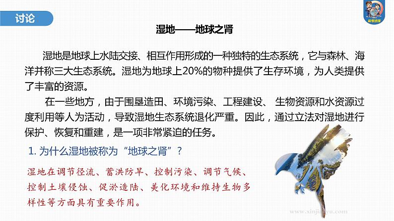 2024年高考地理一轮复习（新人教版） 第1部分  第4章  课时23　陆地水体及其相互关系第7页