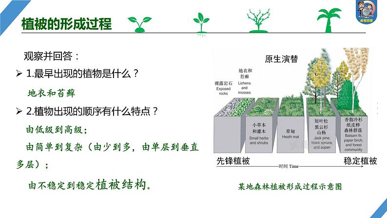 最新高考地理一轮复习（新人教版） 第1部分  第6章 第1讲 课时35　植被【课件+讲义+练习】06